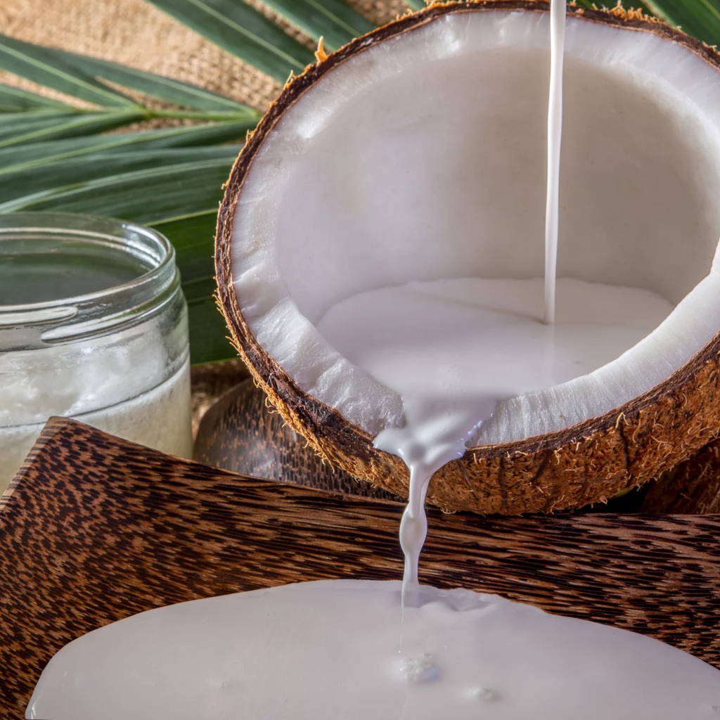 Klean Kera – Kerala’s Timeless Coconut Care